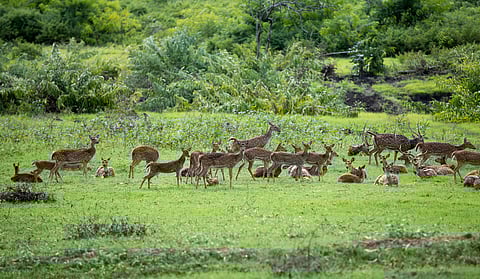 Experience the beauty of nature at the national park