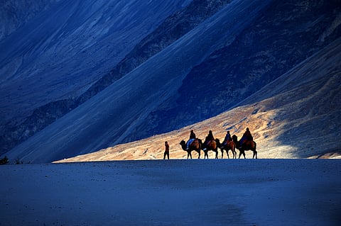 A camel safari in Nubra Valley