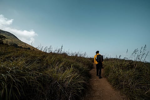 Chembra is the third highest peak in south India, with an altitude of 2,100 metres