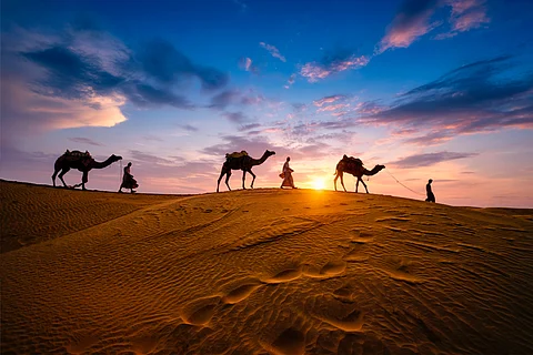 Indian cameleers cross the dunes of Thar in Jaisalmer