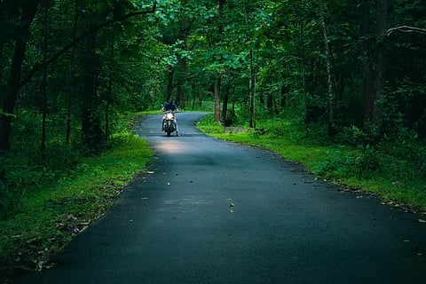 Dandeli places to visit