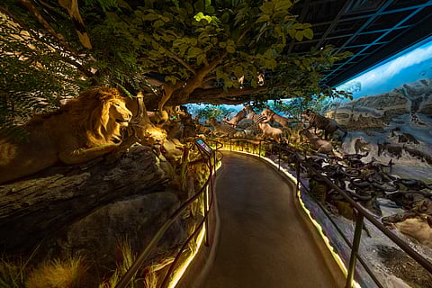 There are interactive museums, immersive indoor play centres and even an ice cream trail for kids