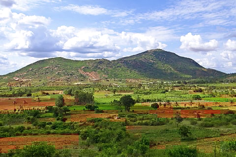 A view of te verdant Nandi Hills