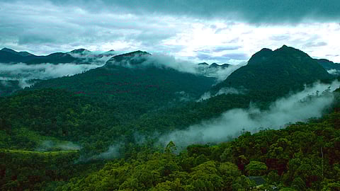 Silent Valley National Park in Kerala