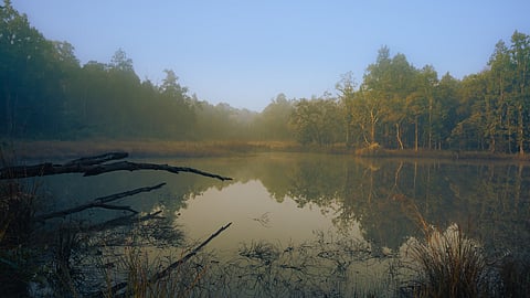 Lucknow To Get India’s First Urban Night Safari
