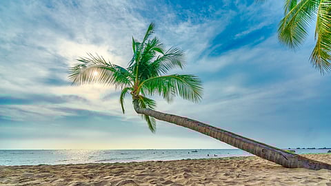 Beaches in Vietnam