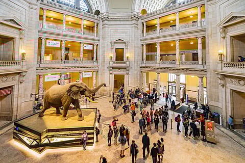 International Museum Day