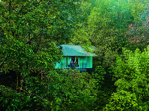 CGH Earth Wayanad Wild