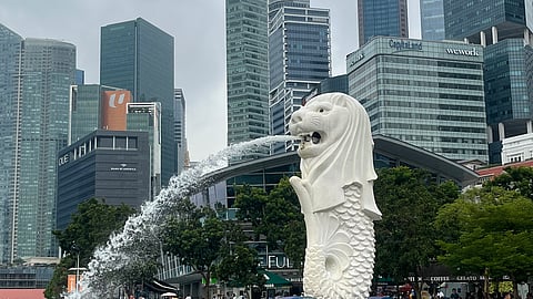 Things To Do In Singapore