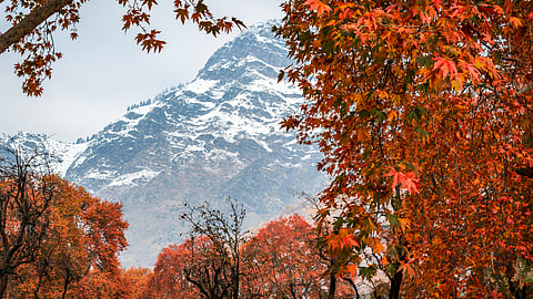 Best Places To Visit In India