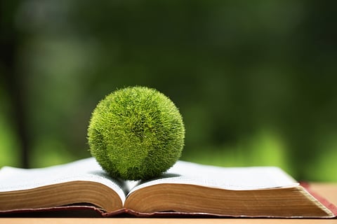 5 Books About Sustainability And Green Issues That You Should Add To Your Bookshelf