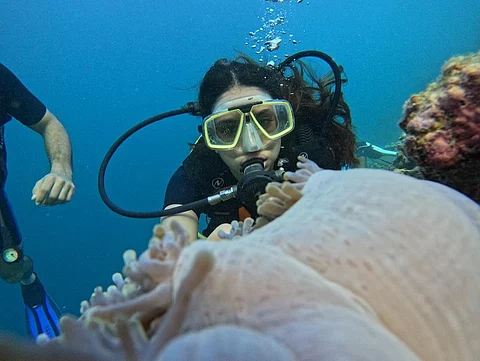 Best Places In The Maldives For Scuba Diving