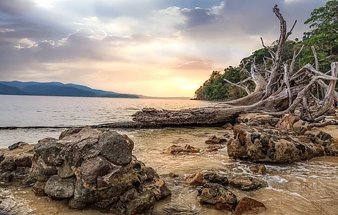 Chidiya Tapu In Andamans