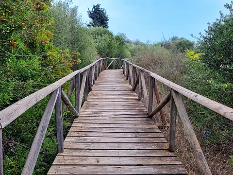 An elevated forest walkway will soon open in Mumbai