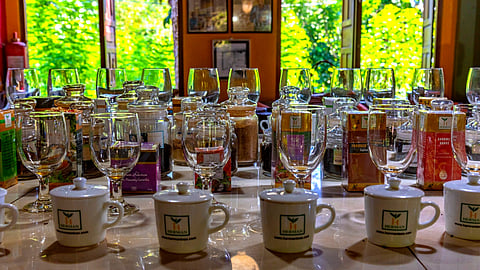 Tea Trail Journey In Sri Lanka