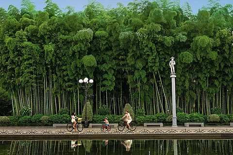 Batumi Boulevard is home to many cafés, restaurants and green spaces