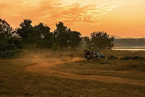 Satpura is a sought-after luxury wildlife destination