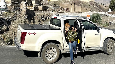 The Paw-Wheel Drive Adventures: Home Away From Home