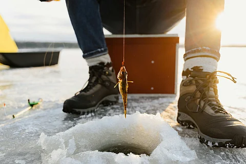 5 Best Winter Trekking Shoes
