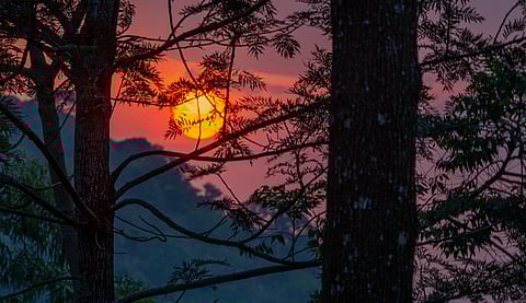 1-Day Offbeat Places To Visit In Yercaud