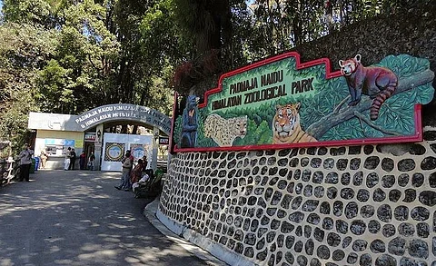 India's First Frozen Zoo Established At Darjeeling’s Padmaja Naidu Himalayan Zoological Park