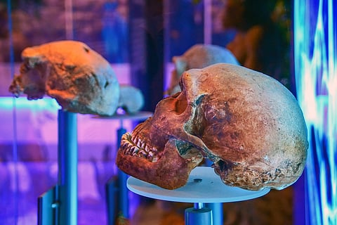 South Africa's "Cradle Of Humankind"