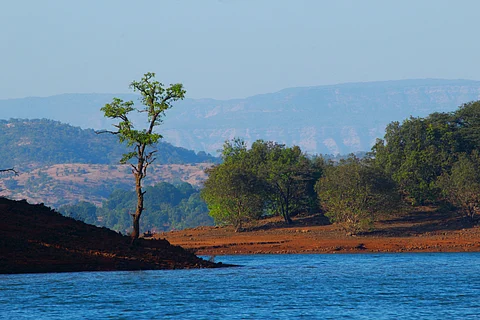 Koyna Wildlife Sanctuary