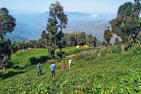 Jardhari is based out of Tehri Garhwal, on the southern slopes of the Himalayas