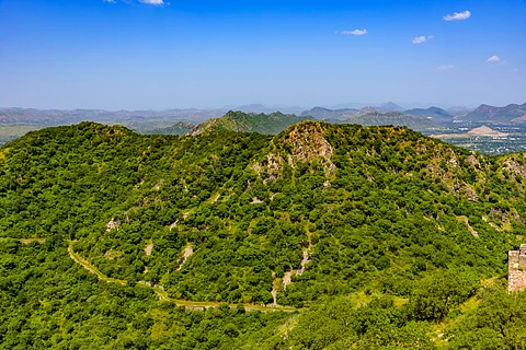 Aravalli Green Wall Project