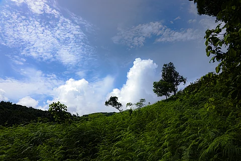 Devarakadu in Karnataka