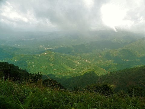 Cardamom Hills Of Idukki, Kerala