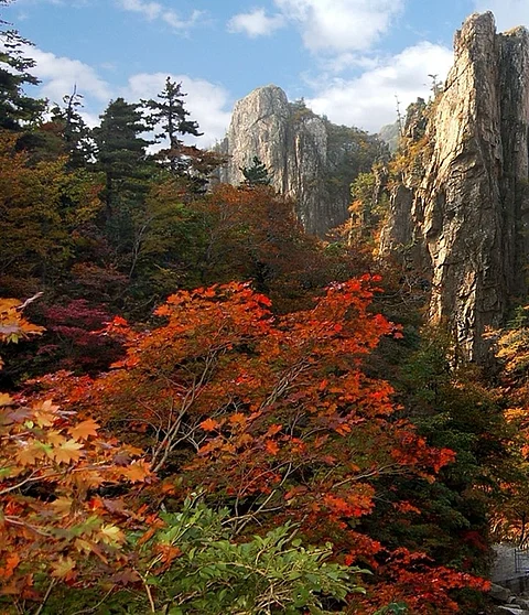 UNESCO Adds 26 New Sites In Its List