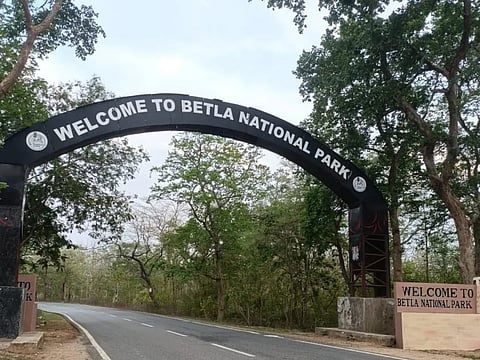 Betla National Park Of Jharkhand