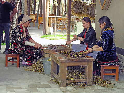 Peeling mulberry bark at Meros paper mill in Konigil