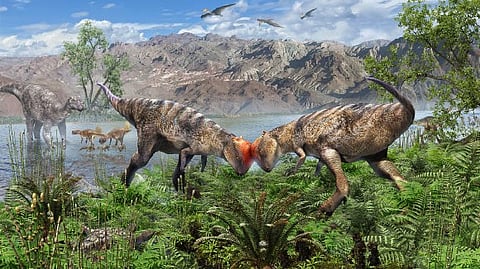 Zavacephale rinpoche oldest dome head dinosaur Pachycephalosaur