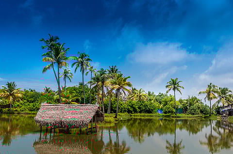 All About Vypin Island