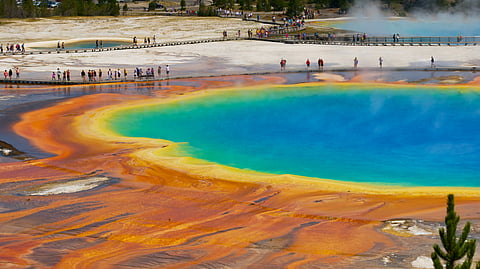 US To Hike Fees At 11 National Parks for Foreign Travellers: Check Updated Rates, Free Entry Days & Rollout Date