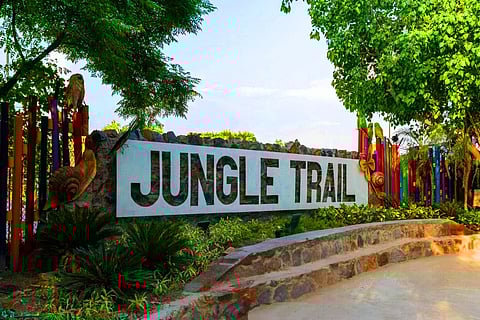 Noida Jungle Trail Park