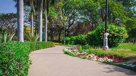 NDMC Plans New Sculpture Park