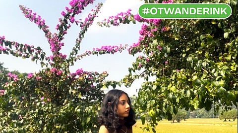 The Doon Valley Travel Guide: Nature, Forests and Hidden Stories of Dehradun