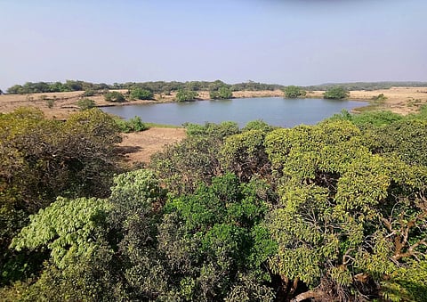 best time to visit Radhanagari Wildlife Sanctuary