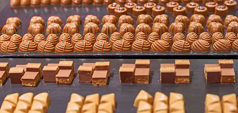 Sweet tastings in the museum of Maison Cailler chocolate factory. Credit Yuri Turkov/Shutterstock.com