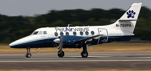 Pet Airways, a company that flew only animals. Credit Official website/Pet Airways