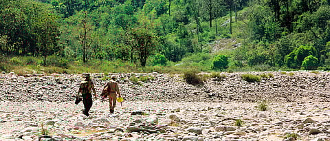 Uttarakhand In Corbett Country