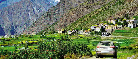 Himachal Pradesh The Old Shepherd Road