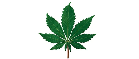 US Potted History