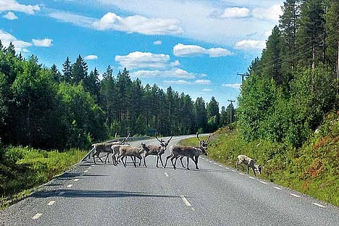 All of Sweden is on Airbnb