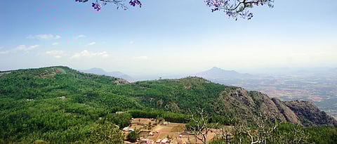 Tamil Nadu A Quick Guide To Yercaud