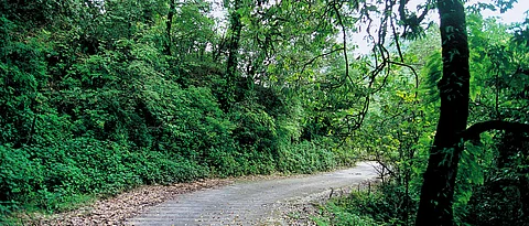 Mussoorie A Day in Ruskin Land