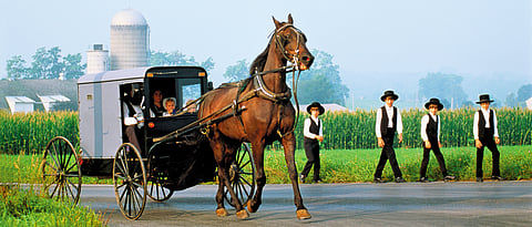 USA The Amish Experience